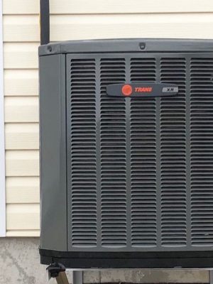 WhatsApp Image 2024-04-18 at 7.39.26 p. m. (1)